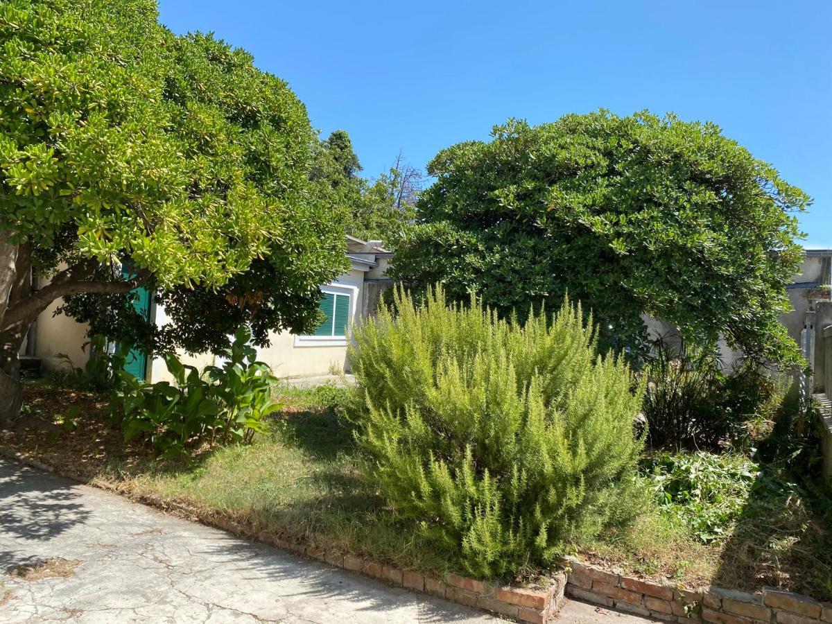 Ferienwohnung Zadar-City מראה חיצוני תמונה