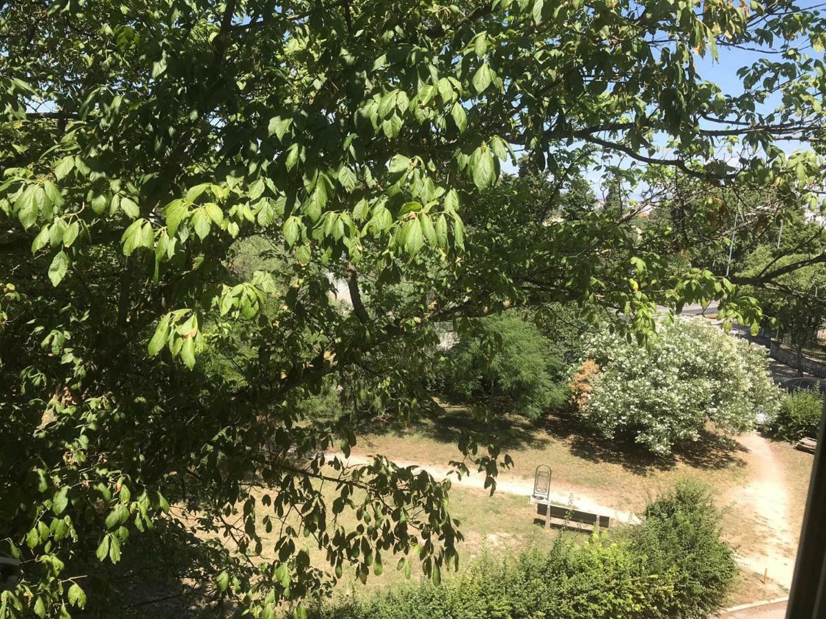 Ferienwohnung Zadar-City מראה חיצוני תמונה