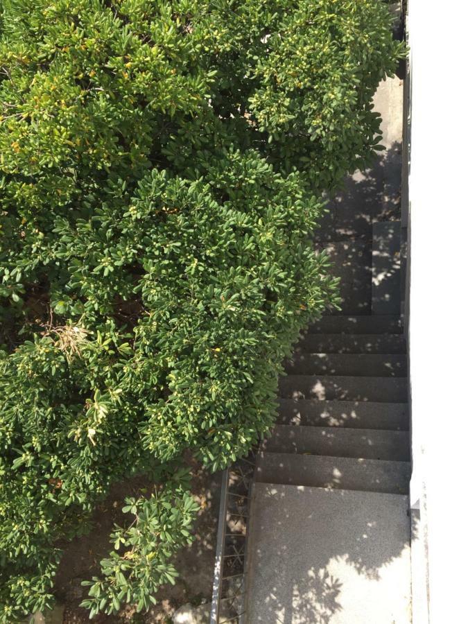 Ferienwohnung Zadar-City מראה חיצוני תמונה