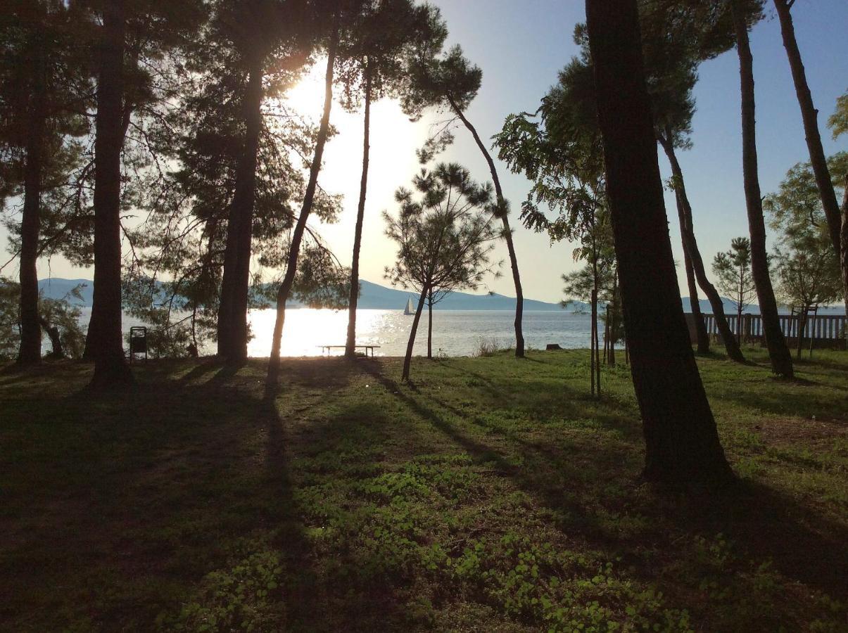 Ferienwohnung Zadar-City מראה חיצוני תמונה